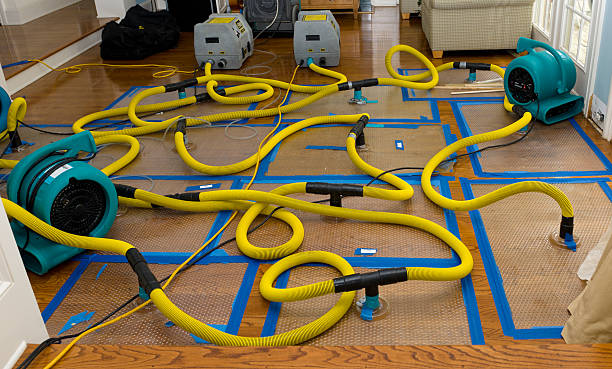 Professional Structural Drying And Dehumidification technician working in Jermyn, TX